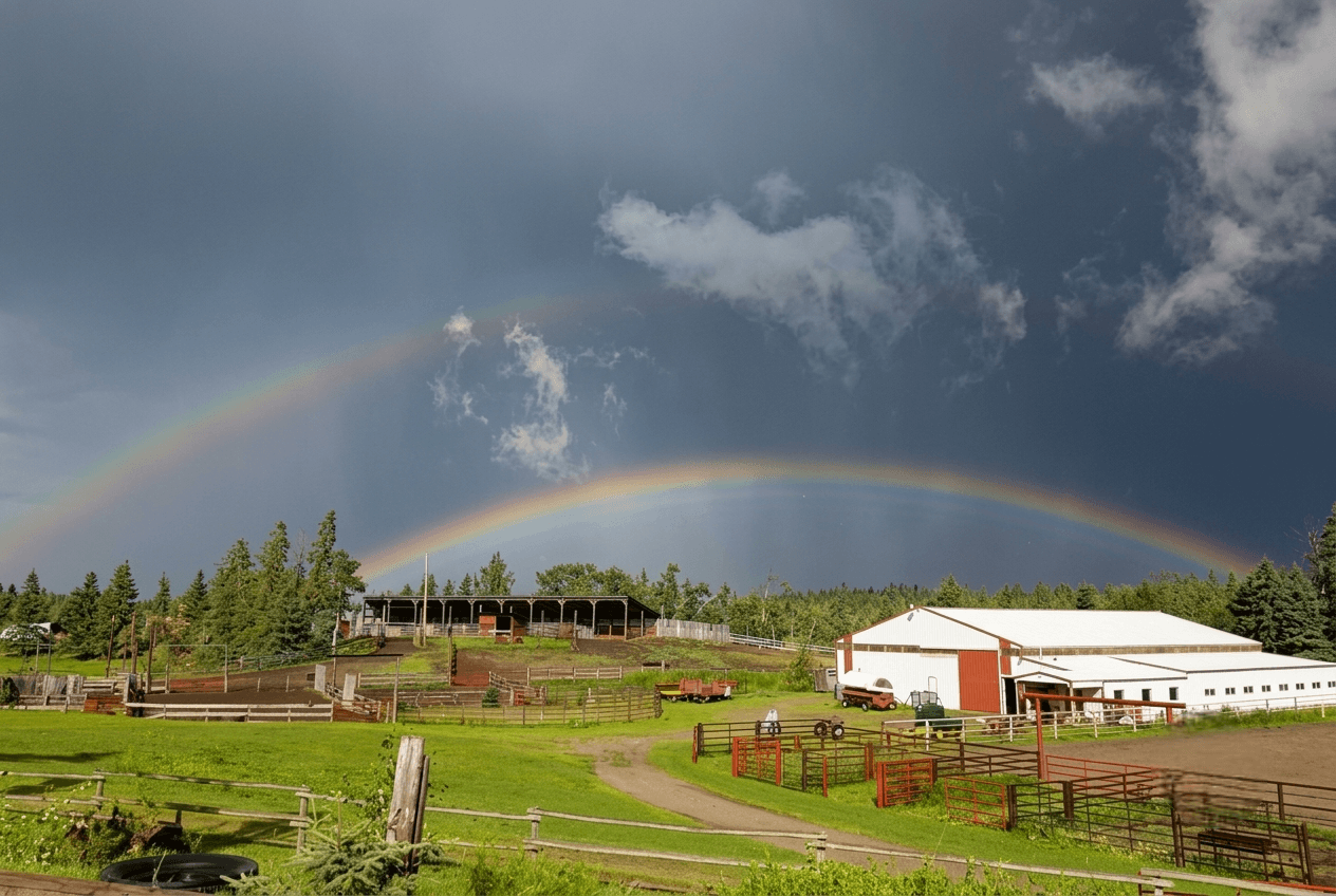 Ranch-better-in-country Ranch with barns and corrals under a rainbow in a green landscape.
