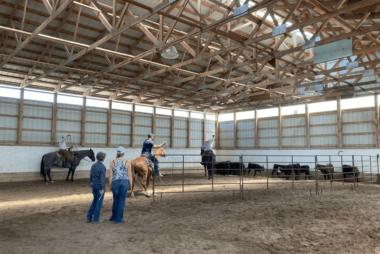 people-training-horses-and-herding-cattle-in-indoor-arena Indoor equestrian arena with riders on horseback, observers, and cattle behind a fence beneath a bright, rustic metal-roofed barn.