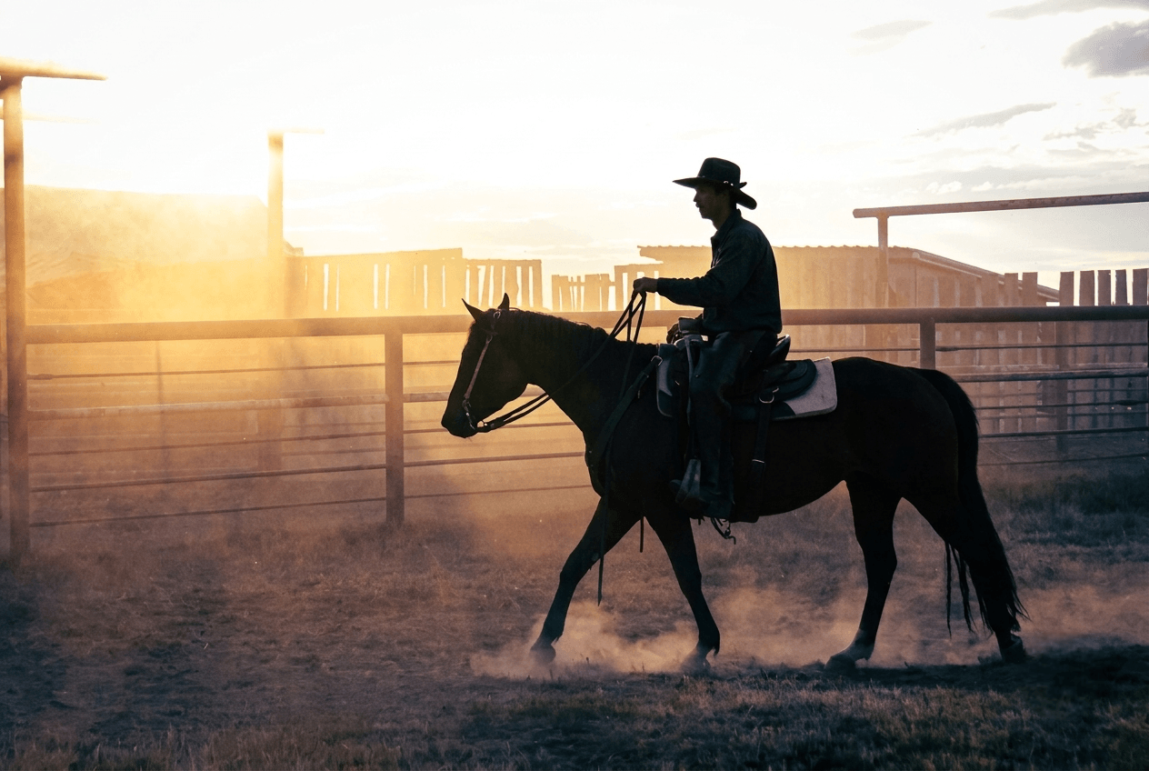 cowboy-riding-horse-at-sunset Silhouette of a cowboy riding a horse in a dusty corral at sunset.
