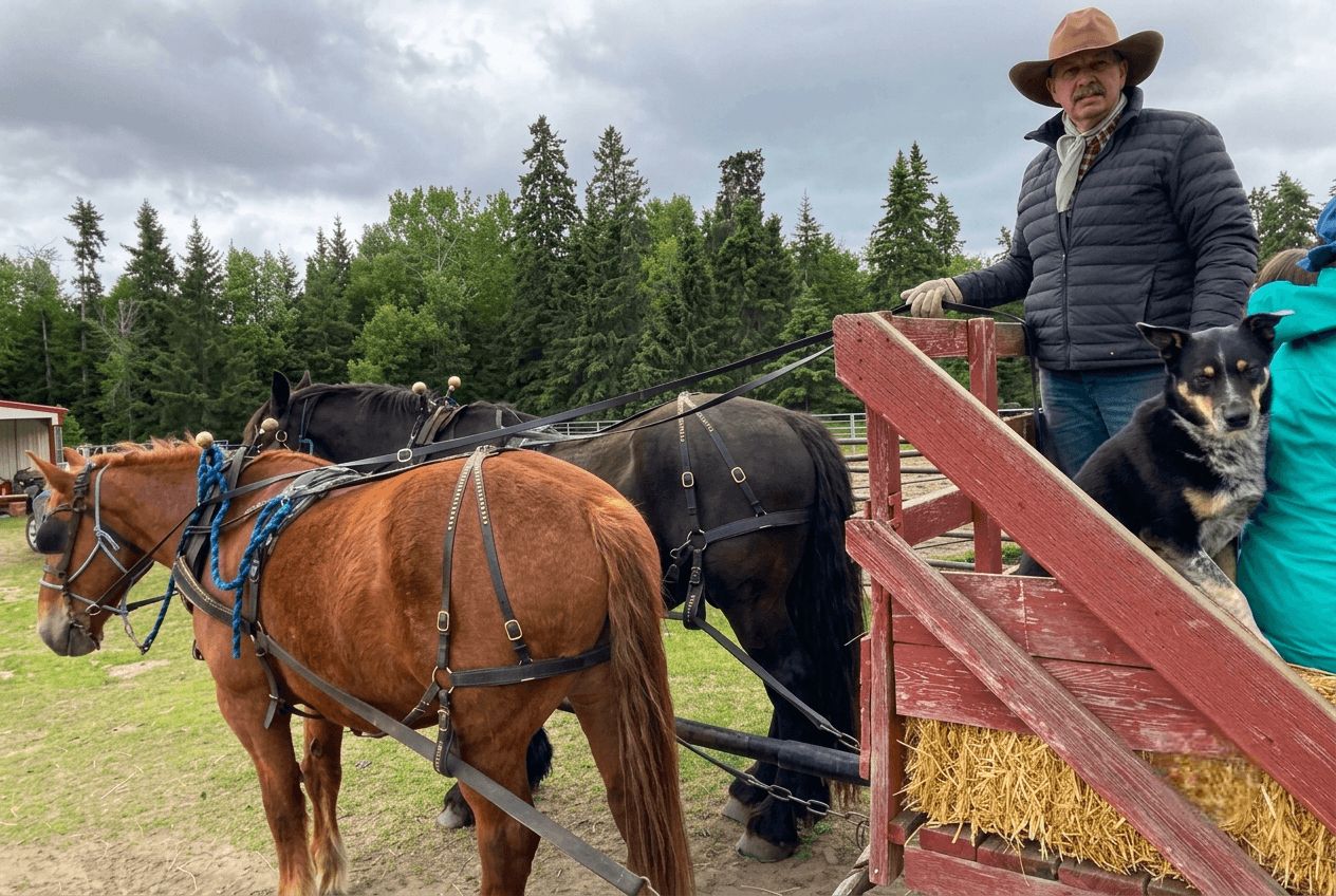 man-riding-horse-drawn-wagon-with-dog Man in a cowboy hat on a horse wagon with a dog.
