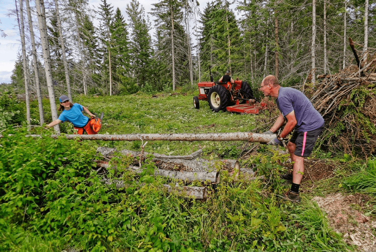 people-clearing-logs-with-chainsaw-and-tractor Two people lifting logs near a chainsaw and red tractor in a wooded area.
