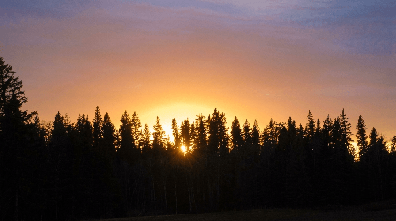 Sunset Silhouette of evergreen trees against a colorful sunset sky.